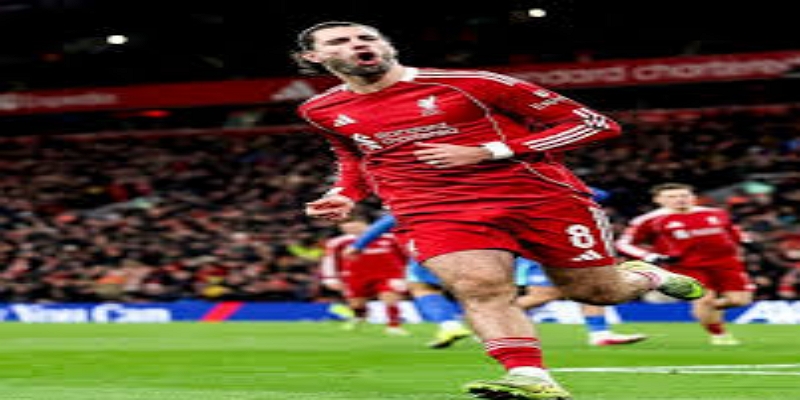 雷速体育解析布莱顿谈判立场：没有解约金就是最大筹码-雷速体育